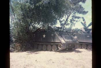 bauer003