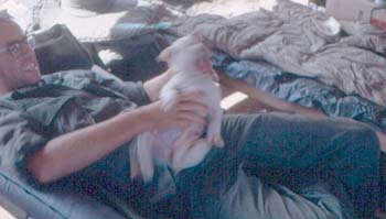 OUR DOG