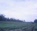 0081580-R1-E003_edited