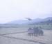 0081581-R1-E018_edited