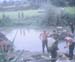 0081581-R1-E028_edited
